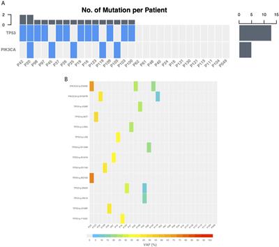 Circulating Tumor DNA to Interrogate the Safety of Letrozole-Associated Controlled Ovarian Stimulation for Fertility Preservation in Breast Cancer Patients